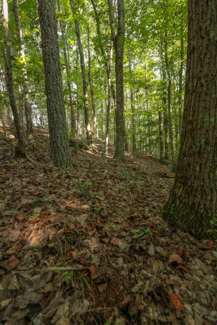 12315 Endless View Soddy Daisy TN 37379