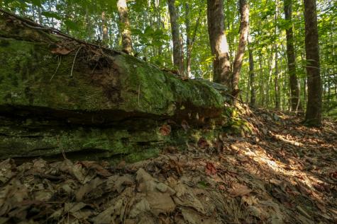 12315 Endless View Soddy Daisy TN 37379