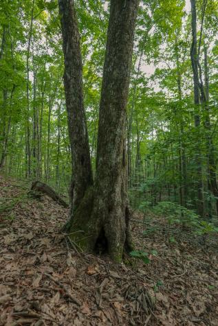 12315 Endless View Soddy Daisy TN 37379