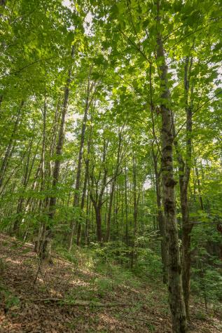 12315 Endless View Soddy Daisy TN 37379
