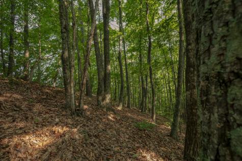 12315 Endless View Soddy Daisy TN 37379