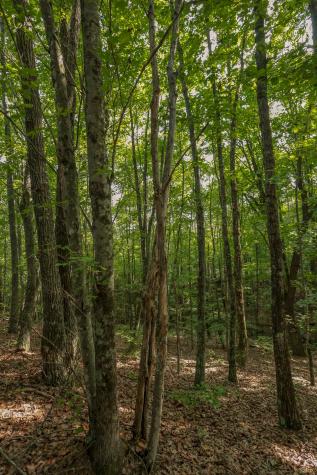 12315 Endless View Soddy Daisy TN 37379
