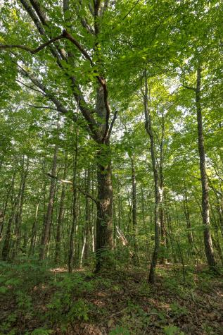 12315 Endless View Soddy Daisy TN 37379