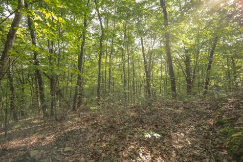 12315 Endless View Soddy Daisy TN 37379