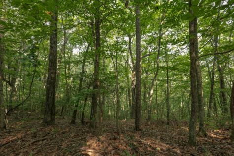 12315 Endless View Soddy Daisy TN 37379
