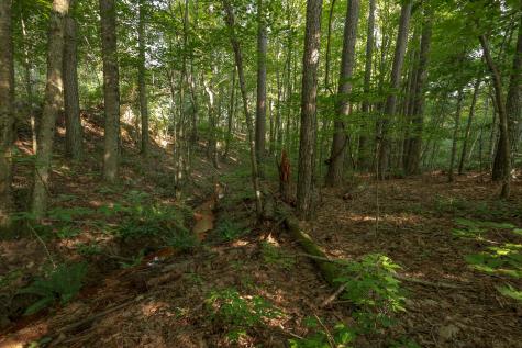 12315 Endless View Soddy Daisy TN 37379