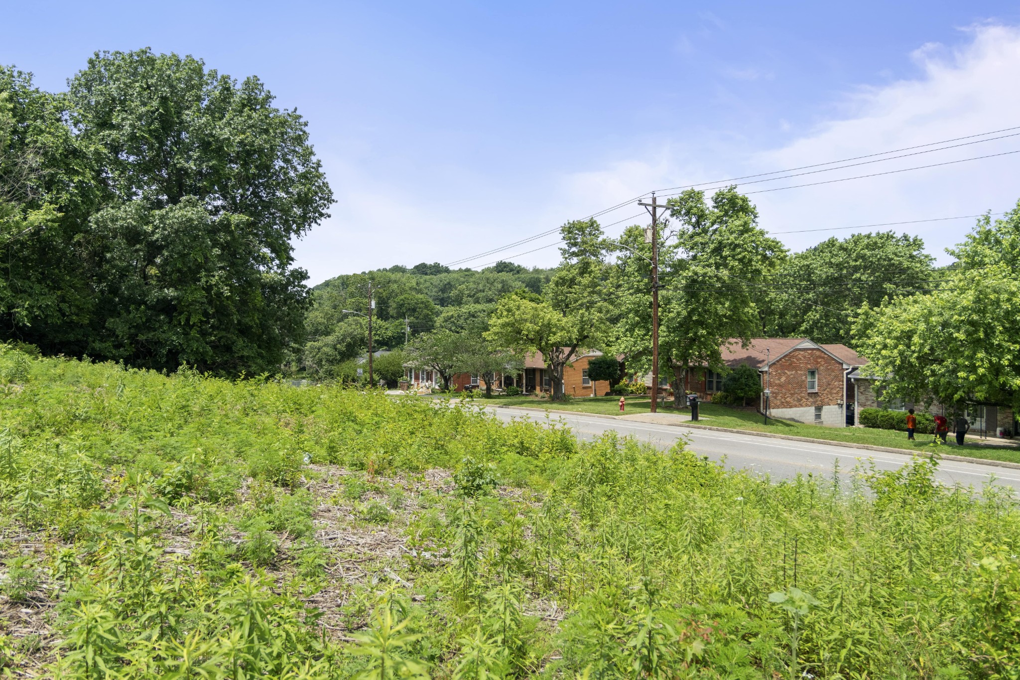 73 Tusculum Road Antioch TN 37013
