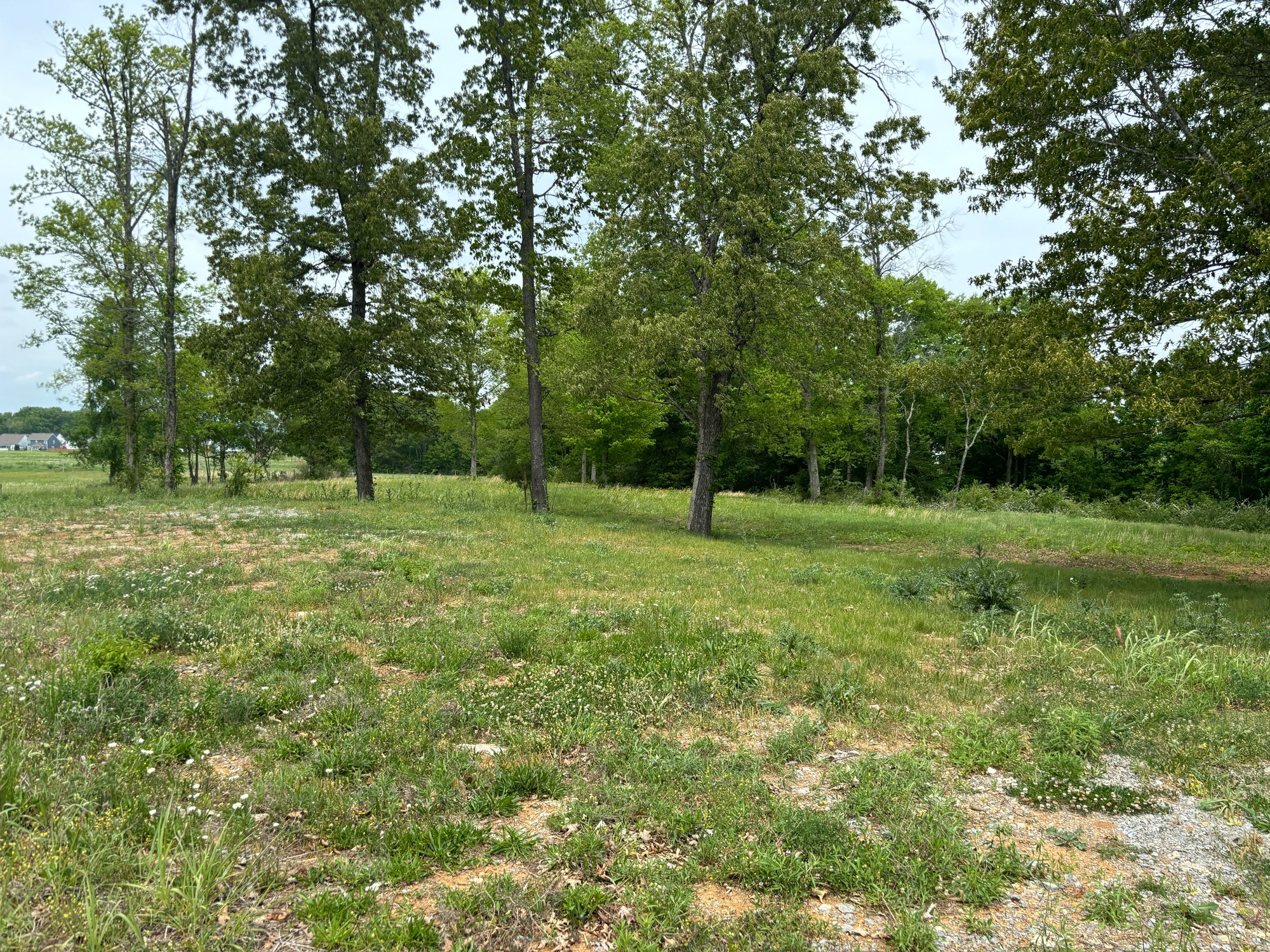 6684 Ocala Road Murfreesboro TN 37128