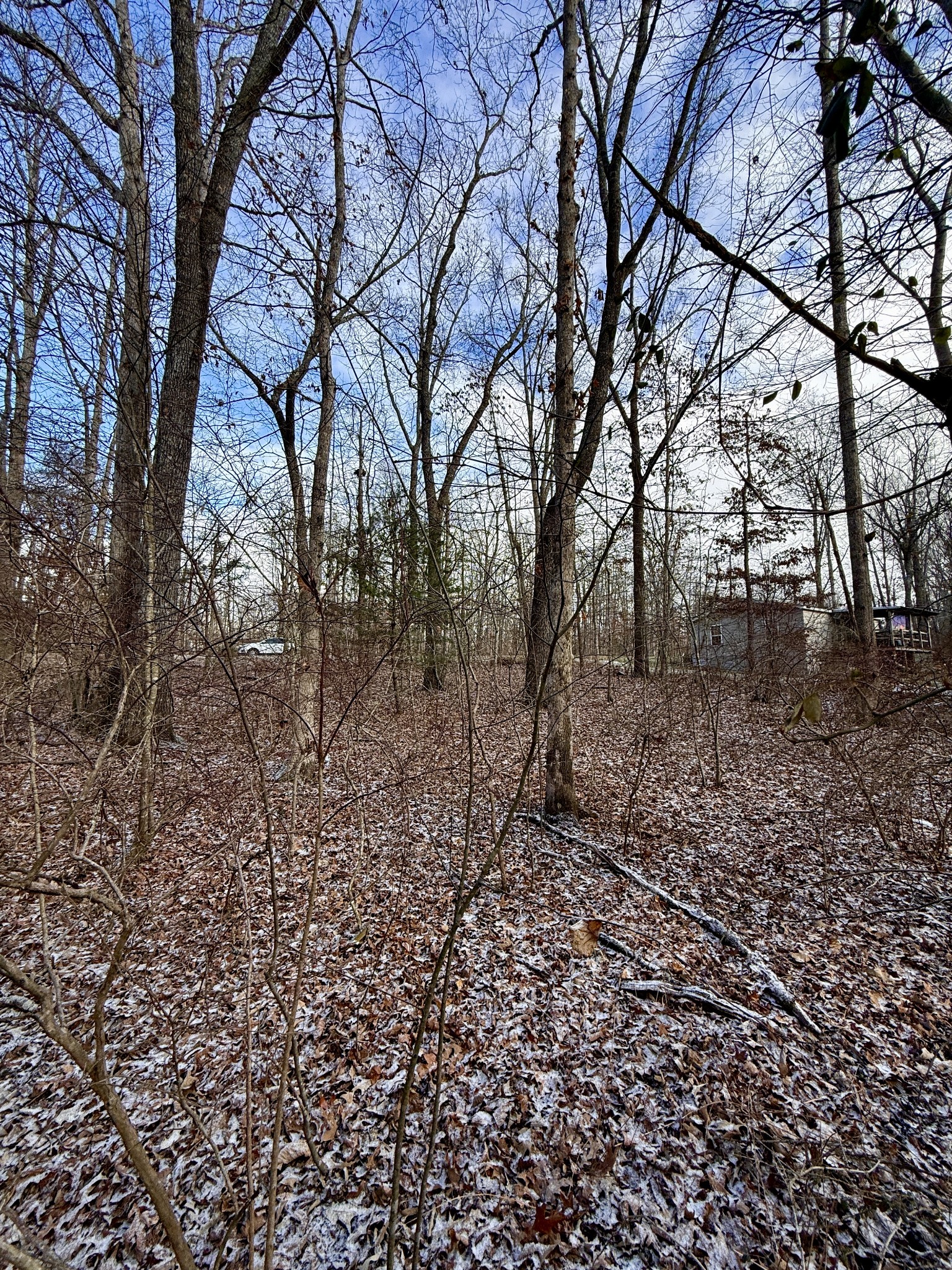 1013 Uno Lane Crossville TN 38572