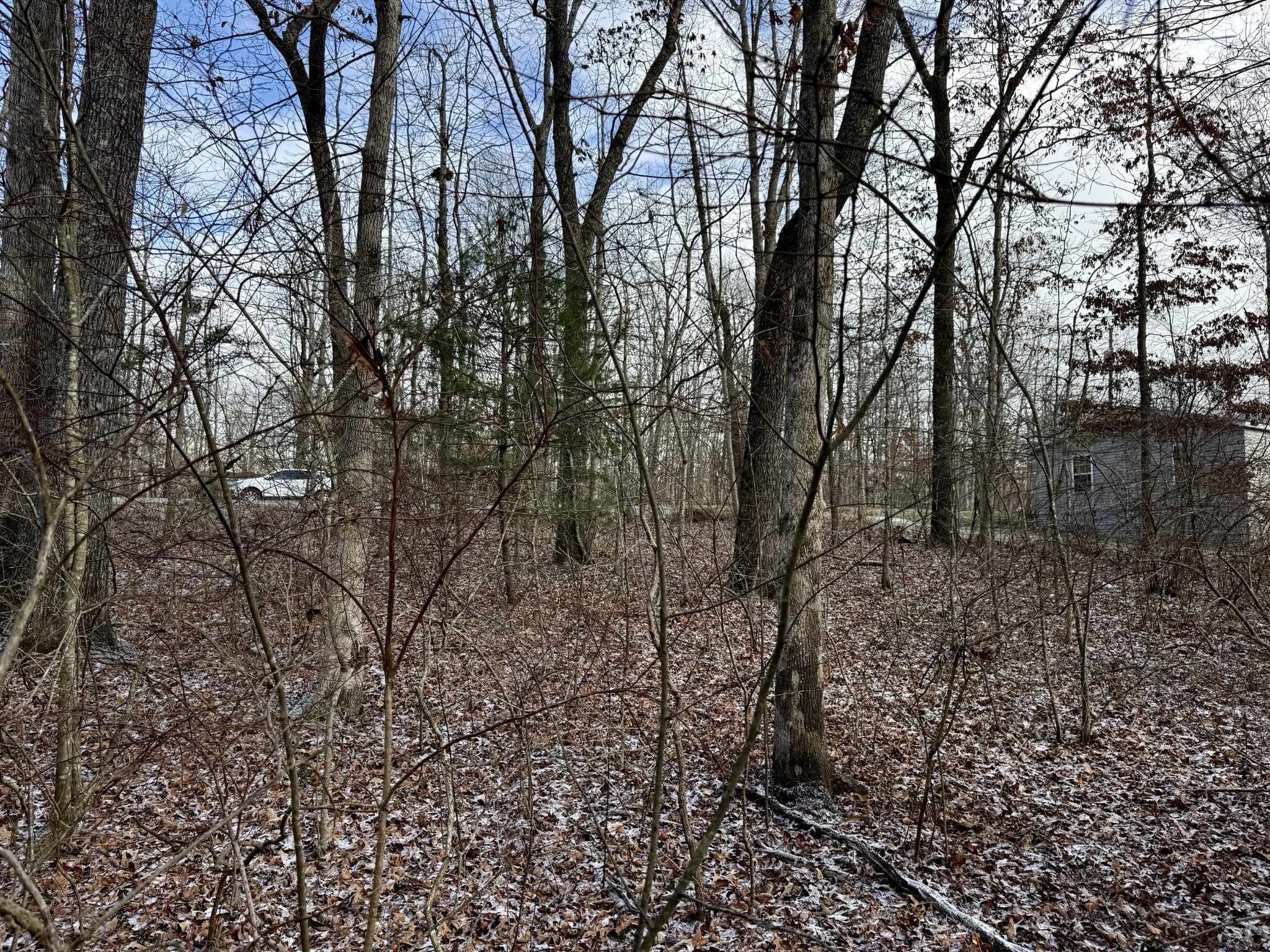 1013 Uno Lane Crossville TN 38572