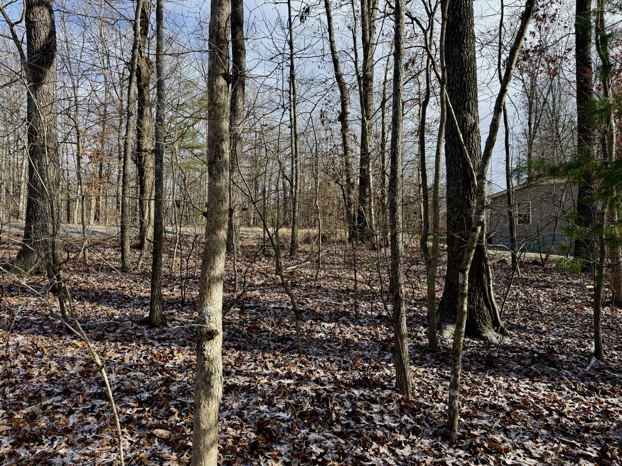 1013 Uno Lane Crossville TN 38572