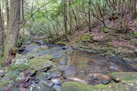 75B Deer Lick Trail Monteagle TN 37356