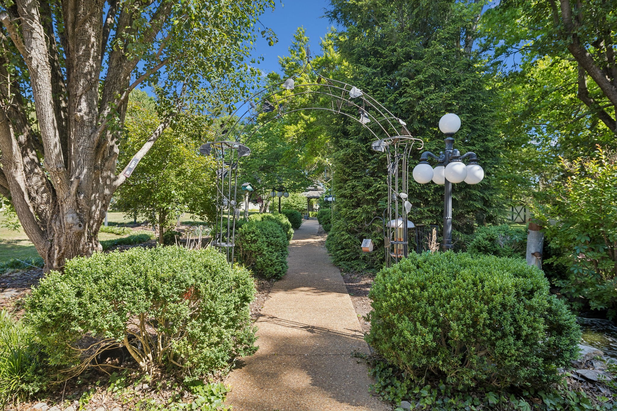 157 Paschal Drive Murfreesboro TN 37128