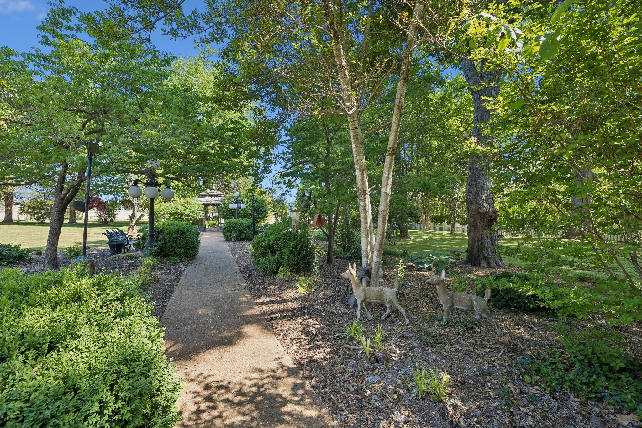 157 Paschal Drive Murfreesboro TN 37128