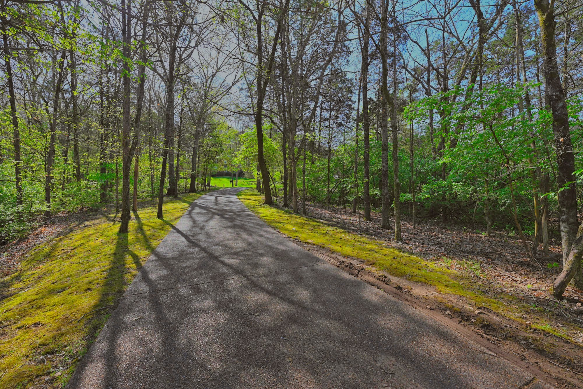 1115 Temple Ridge Court Nashville TN 37221