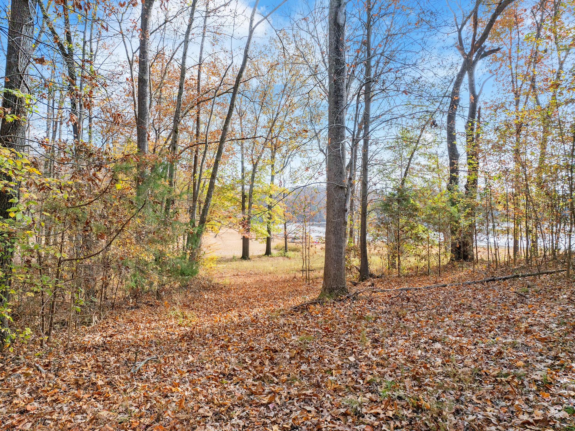 0 Fawn Ridge Road Parsons TN 38363