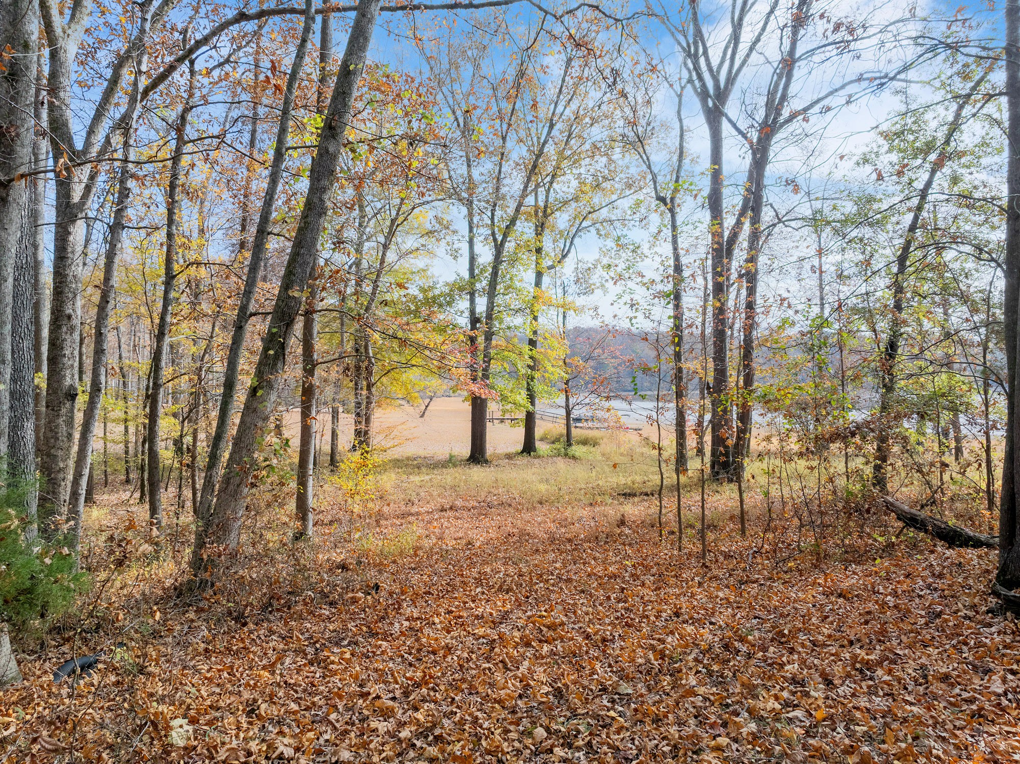 0 Fawn Ridge Road Parsons TN 38363