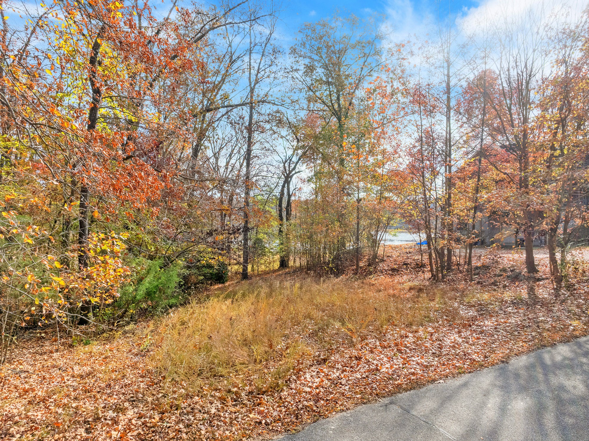 0 Fawn Ridge Road Parsons TN 38363