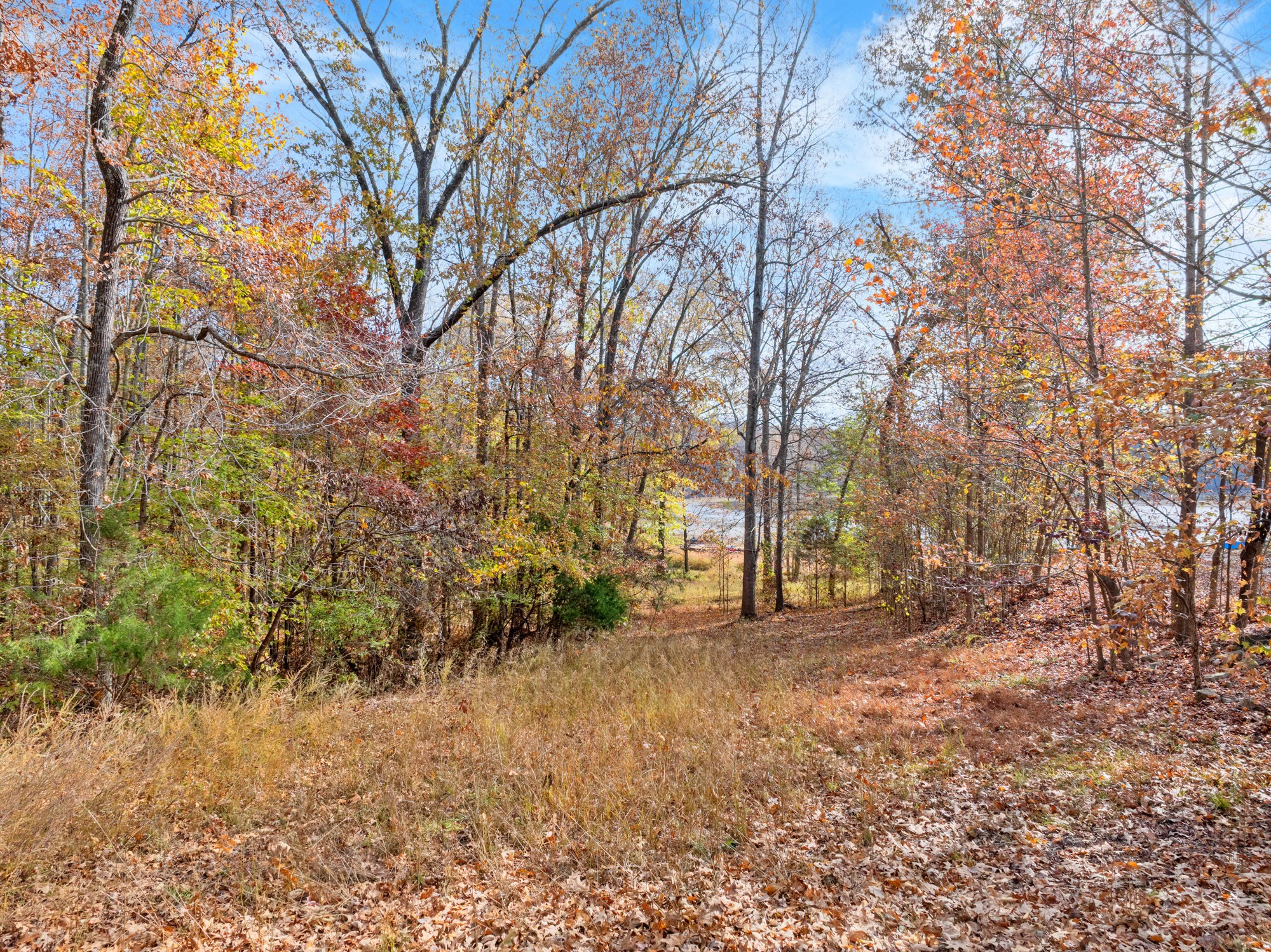 0 Fawn Ridge Road Parsons TN 38363