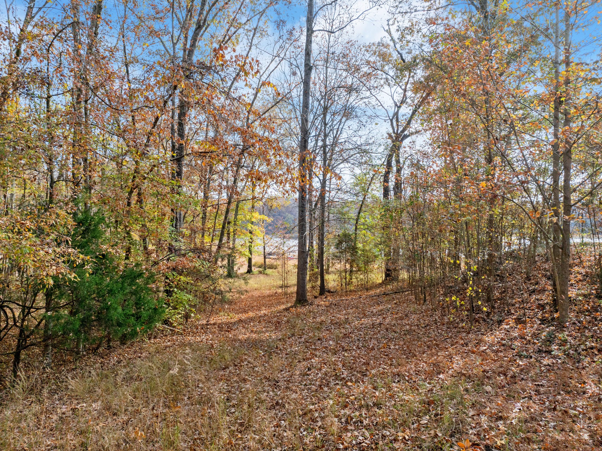 0 Fawn Ridge Road Parsons TN 38363