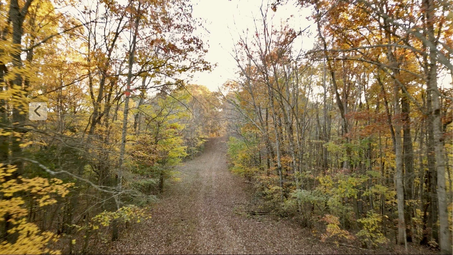 0 Rock Springs Road Tract 13 Celina TN 38551