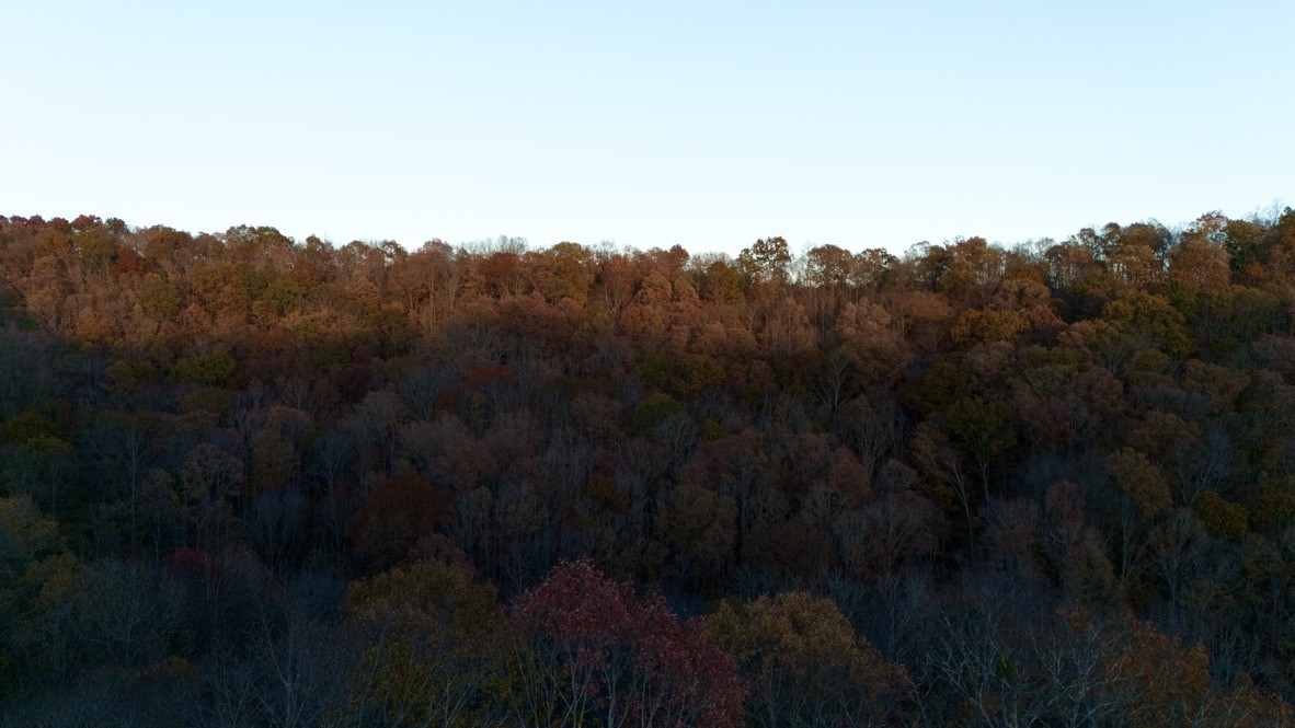 0 Rock Springs Road Tract 13 Celina TN 38551