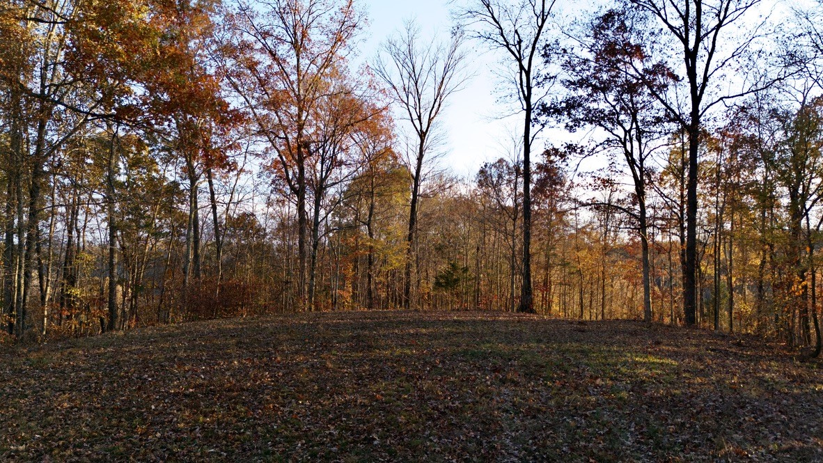 0 Rock Springs Road Tract 13 Celina TN 38551