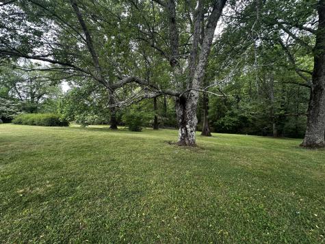 91 Lambs Ferry Road Loretto TN 38469
