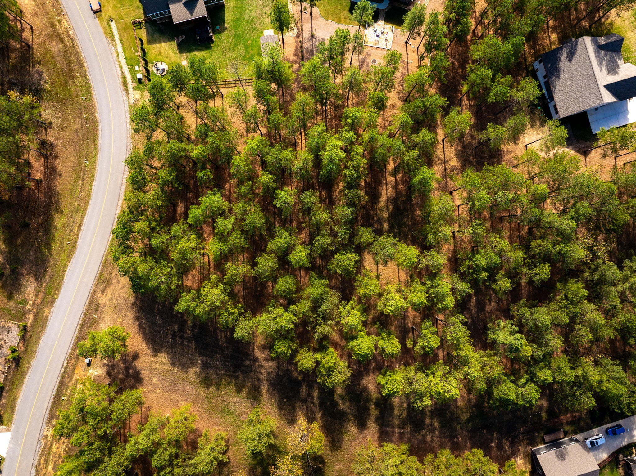 0 Deer Ridge Point Jasper TN 37347