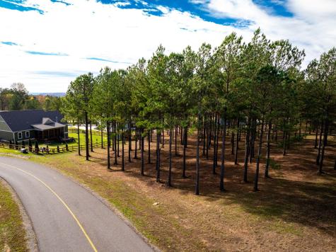 0 Deer Ridge Point Jasper TN 37347