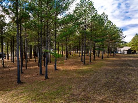 0 Deer Ridge Point Jasper TN 37347