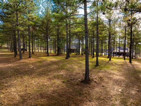 0 Deer Ridge Point Jasper TN 37347