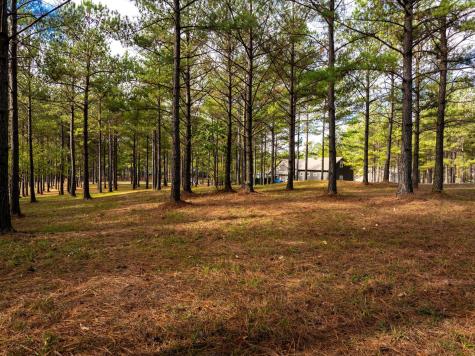 0 Deer Ridge Point Jasper TN 37347