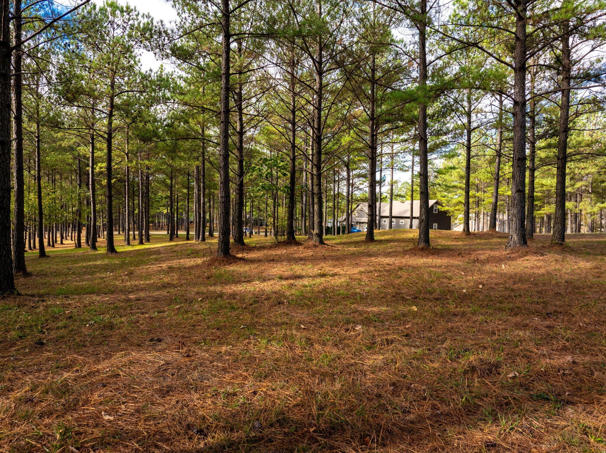 0 Deer Ridge Point Jasper TN 37347