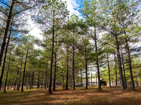 0 Deer Ridge Point Jasper TN 37347