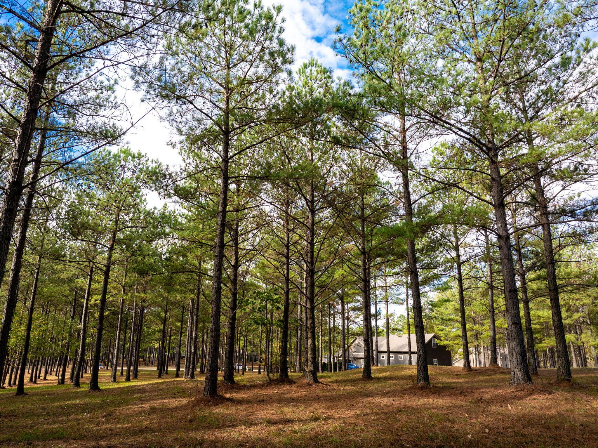 0 Deer Ridge Point Jasper TN 37347