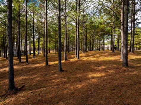 0 Deer Ridge Point Jasper TN 37347