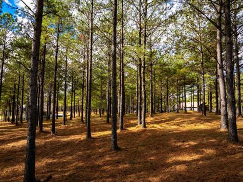 0 Deer Ridge Point Jasper TN 37347