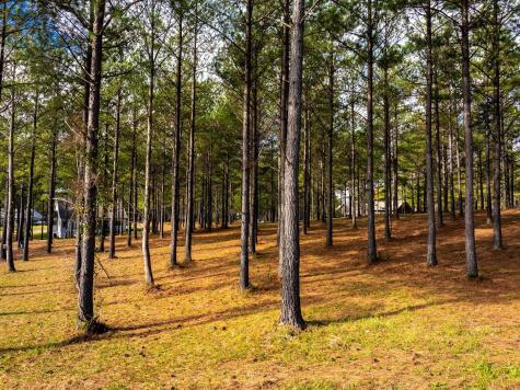 0 Deer Ridge Point Jasper TN 37347