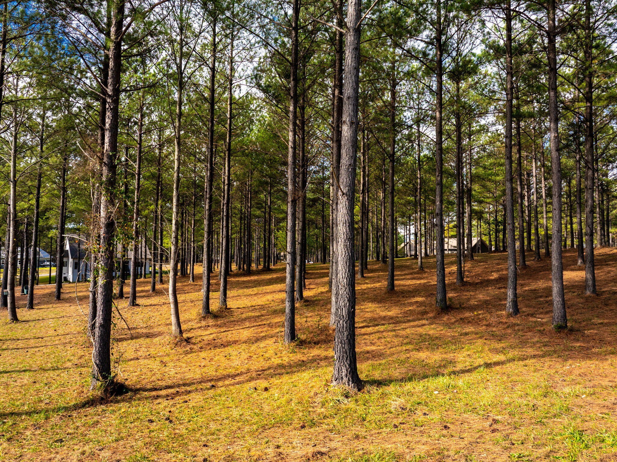 0 Deer Ridge Point Jasper TN 37347