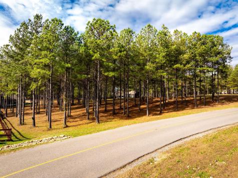 0 Deer Ridge Point Jasper TN 37347