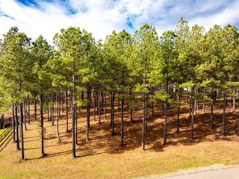 0 Deer Ridge Point Jasper TN 37347