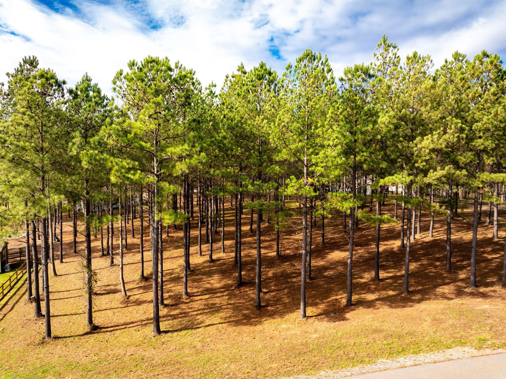 0 Deer Ridge Point Jasper TN 37347