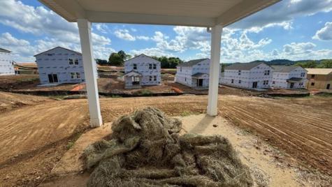 3707 Seapepper Drive Columbia TN 38401