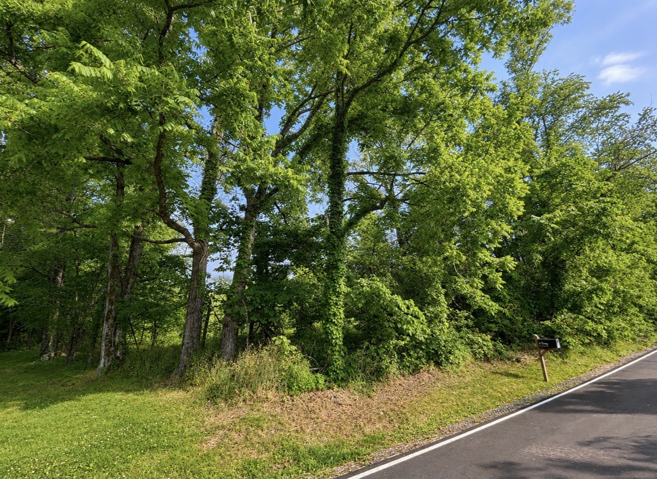 0 Oak Knob Road Lafayette TN 37083