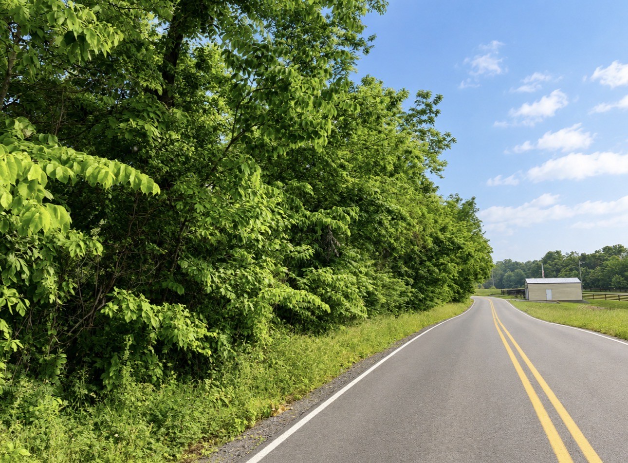 0 Oak Knob Road Lafayette TN 37083