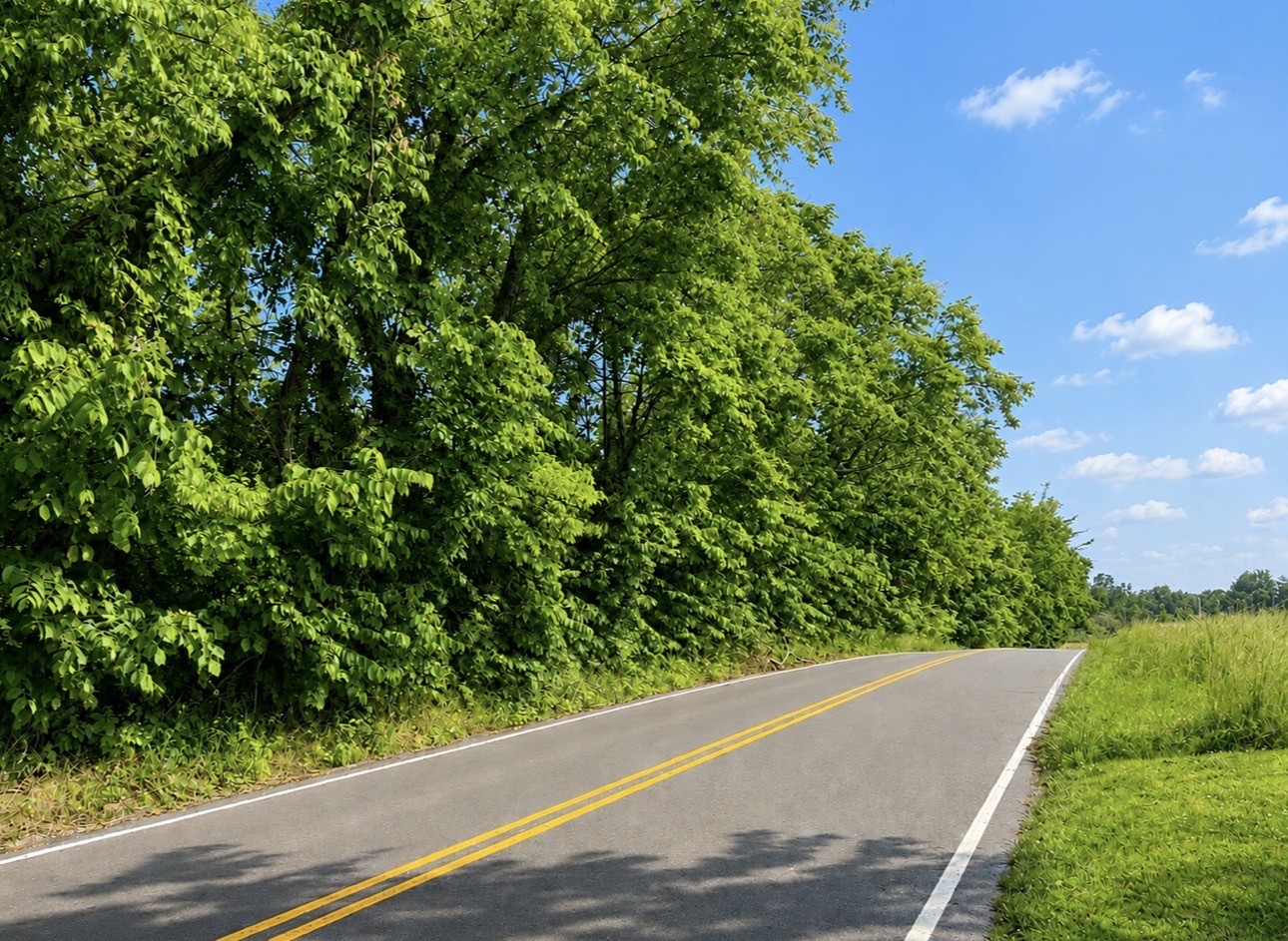 0 Oak Knob Road Lafayette TN 37083