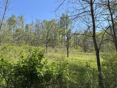 1074a Kersey Hollow Road Lynnville TN 38472