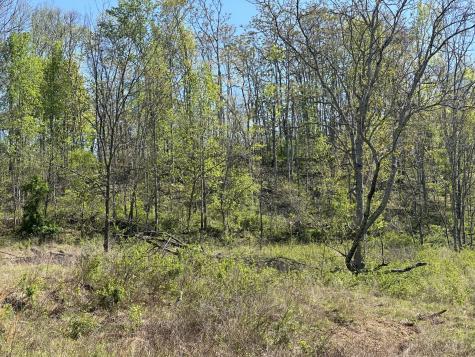 1074a Kersey Hollow Road Lynnville TN 38472