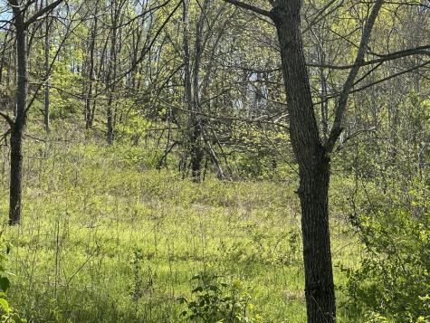 1074a Kersey Hollow Road Lynnville TN 38472